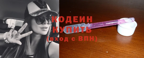 тгк Гусев