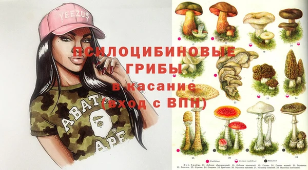 прущая мука Дмитриев