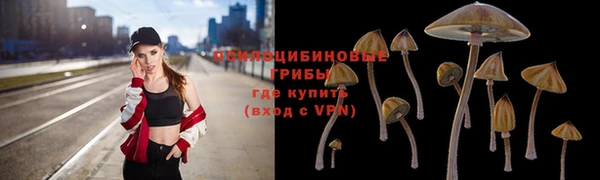 прущая мука Дмитриев