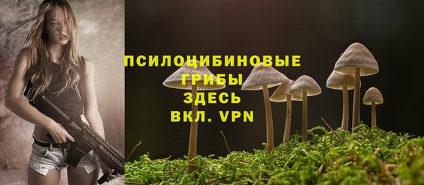 не бодяженный Дмитровск