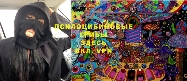прущая мука Дмитриев