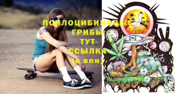 прущая мука Дмитриев