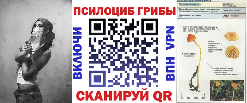 Галлюциногенные грибы мухоморы где купить наркоту Кумертау